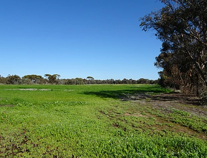 LOT 5980 Brookton Kweda Road, Aldersyde, Wheat Belt, 0 chambres, 0 salles de bain, Lifestyle Property