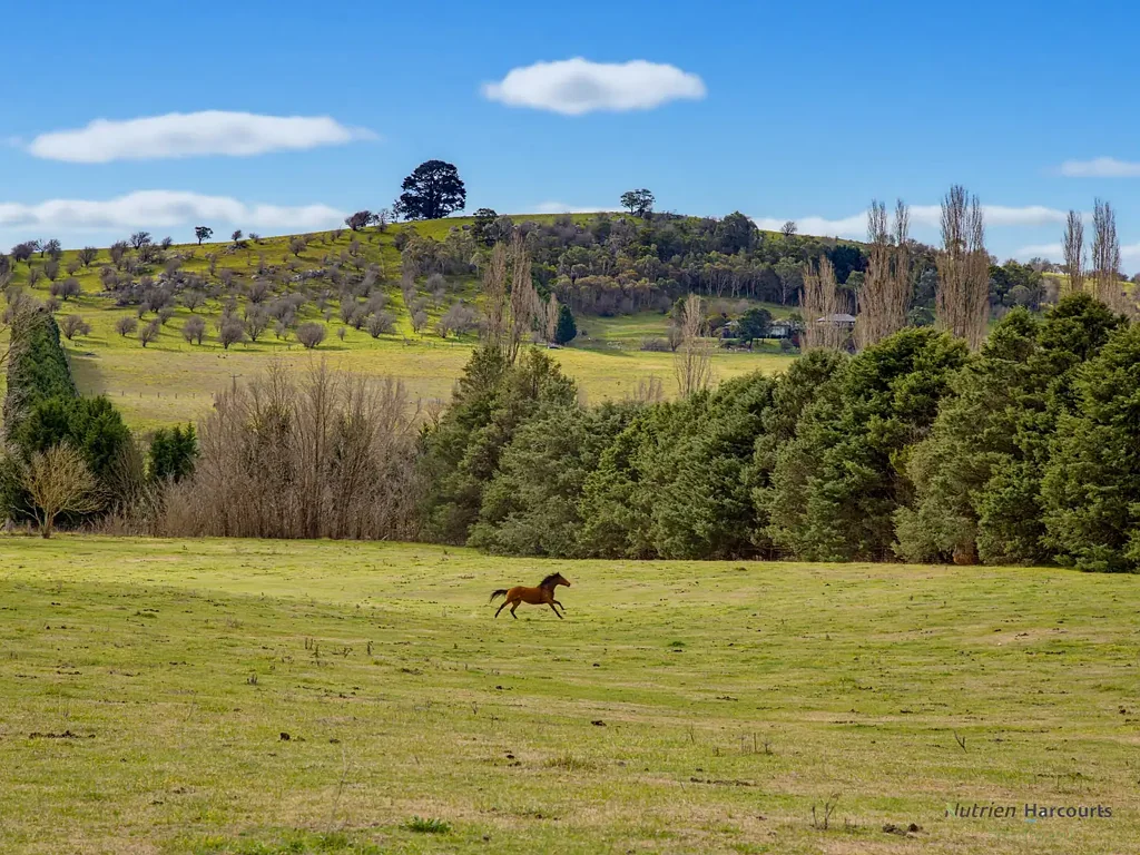 Braidwood 3ਬੈੱਡਰੂਮ 10 ACRES WITH TOWN SERVICES