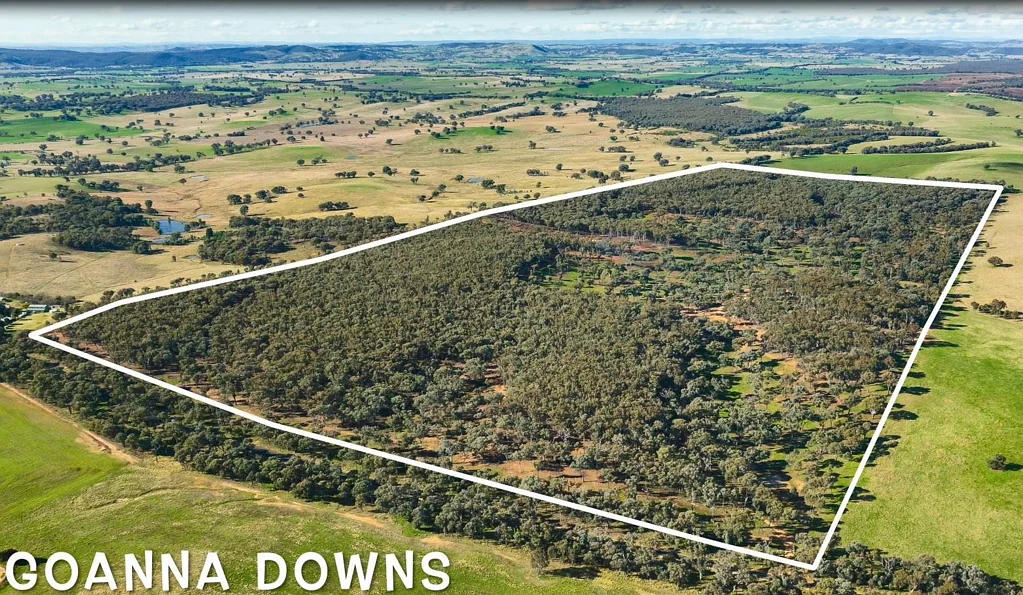 Cookardinia  Tranquil Hide Away - Excellent Access