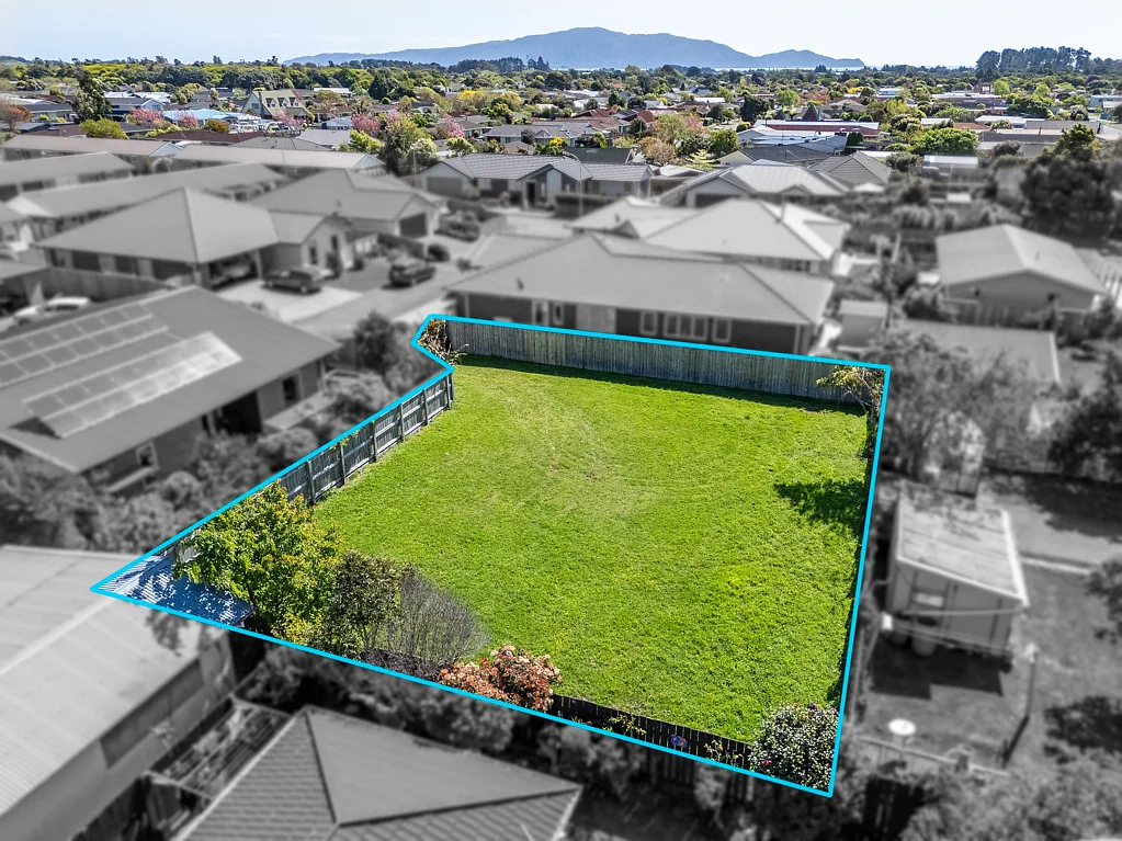 Waikanae Rare Land Find