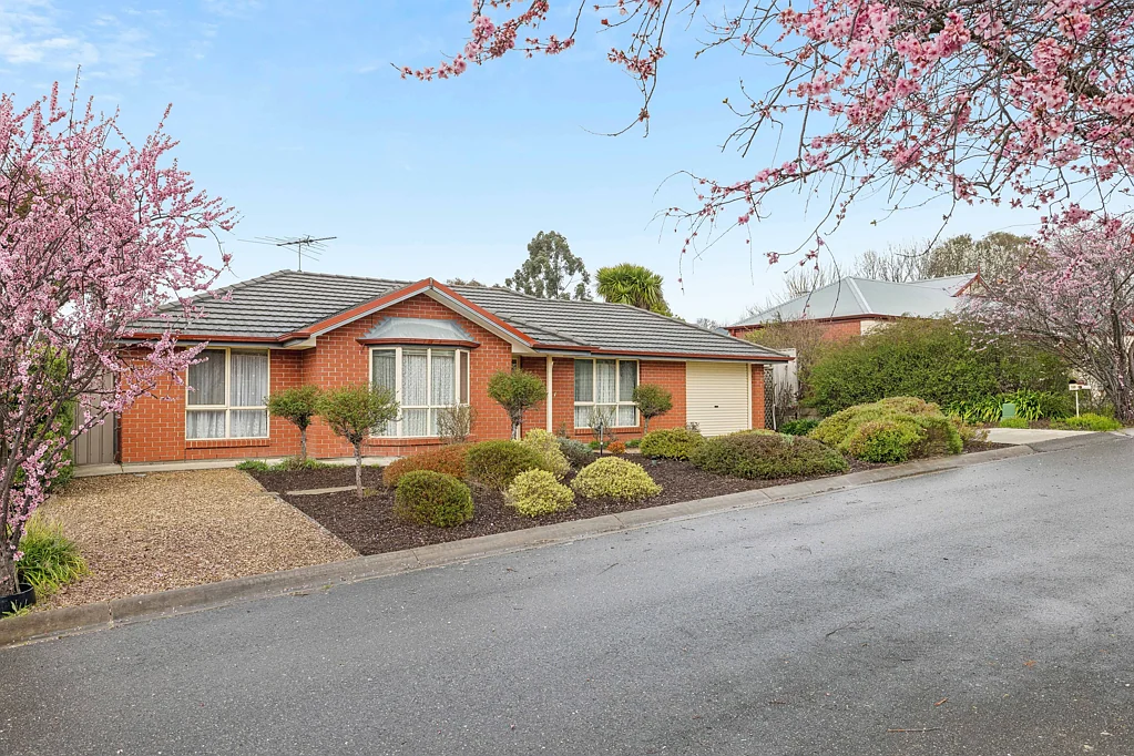 10 Gollan Circuit, Mount Barker, SA 5251