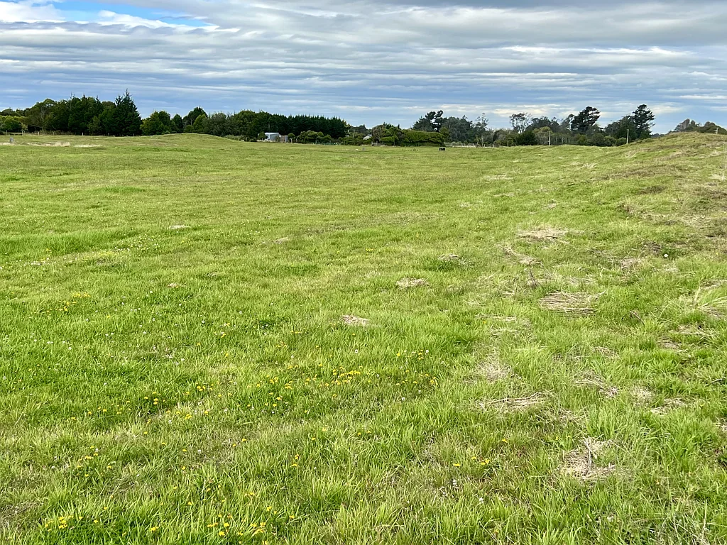 Otatara Value in Otatara - $199,000