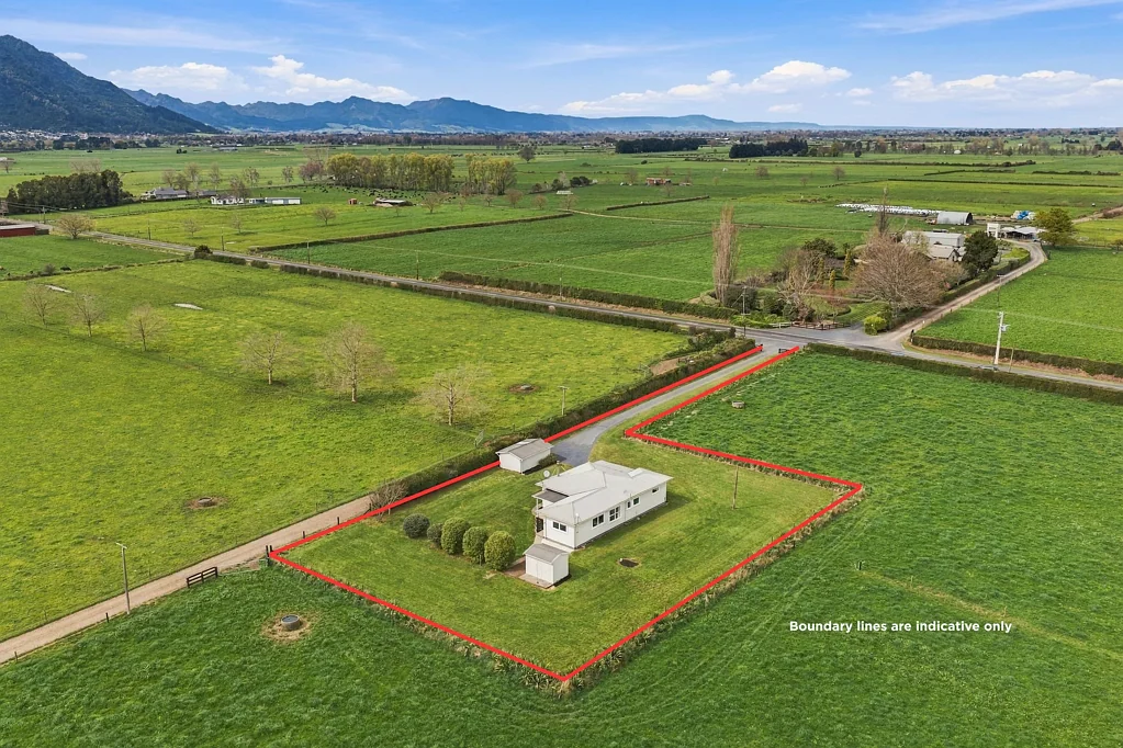 Te Aroha  Fresh country living with a view