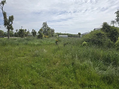 Eddystone Street, Kaitangata, Clutha, Otago, 0房, 0浴, Section