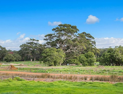 25 Whistler Drive, Karridale, Bunbury, 0 Schlafzimmer, 0 Badezimmer, Section