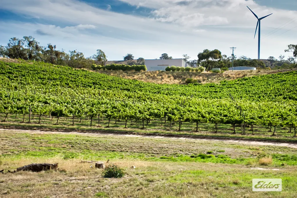 Landsborough Premium Organic Vineyard Opportunity in Victoria's Pyrenees Wine Region