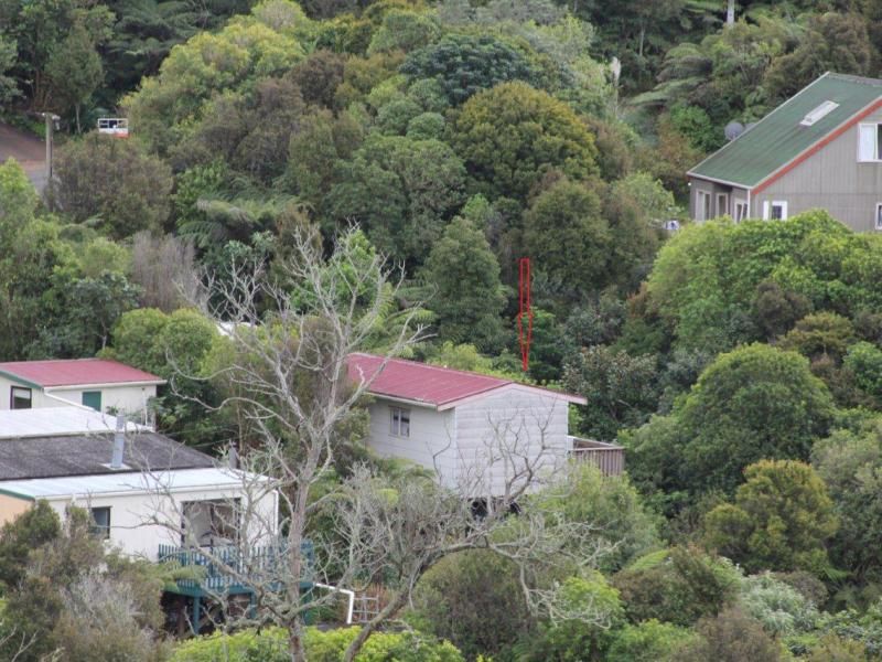 Hauraki Gulf Islands