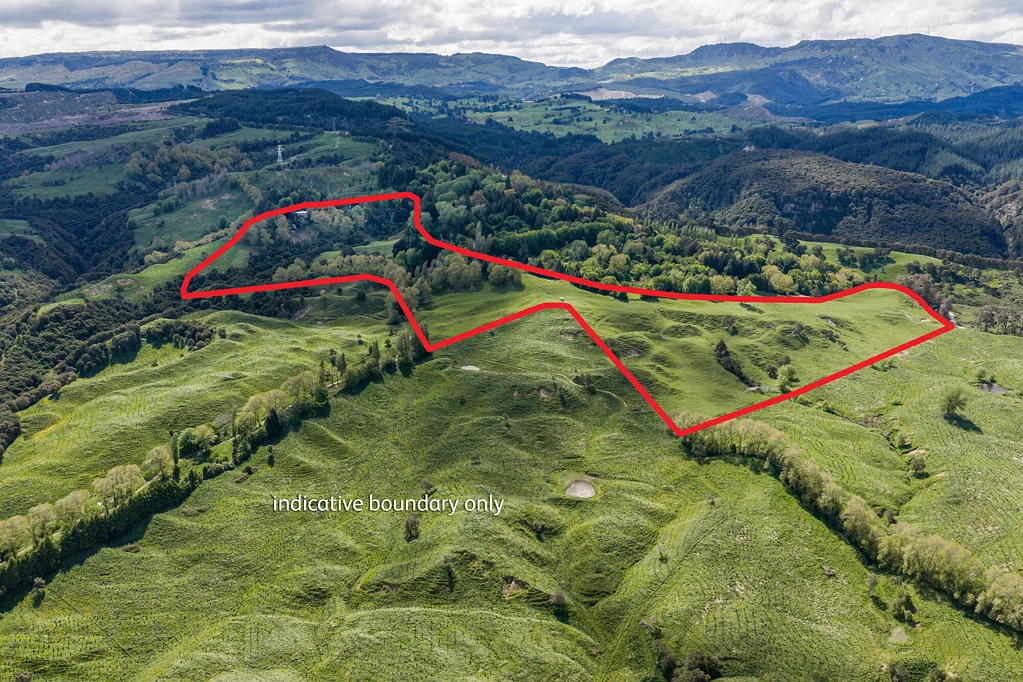 Hastings Country Secluded Farmlet