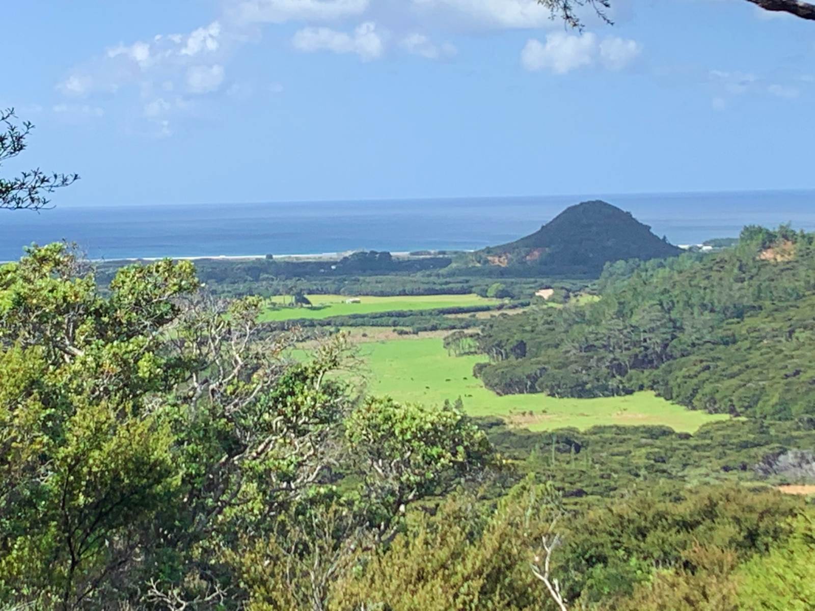 Hauraki Gulf Islands