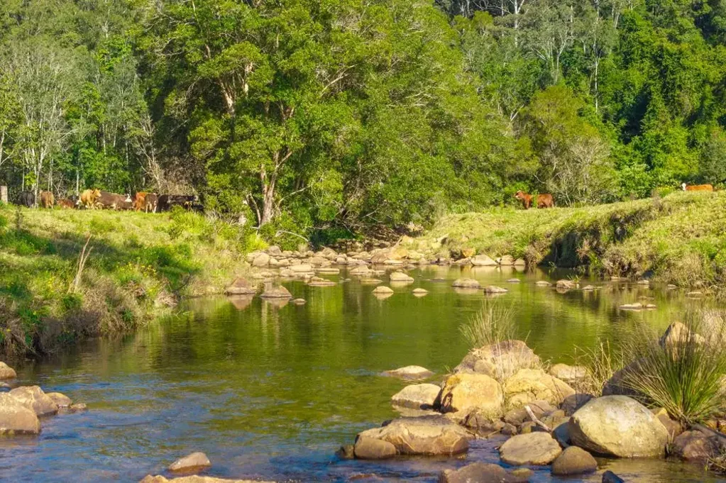 Kerewong DOUBLE RIVER FRONTAGE