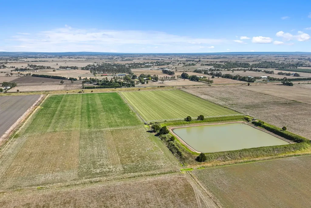 Catani 172 acres of Productive Peat Country