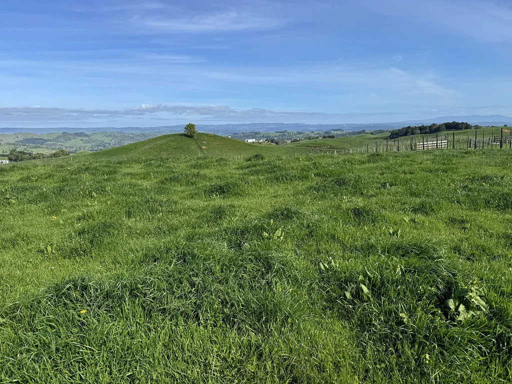 167B Tate Road, Te Kuiti, Waitomo, Waikato