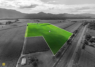 Bellenden Ker Approximately 45 Acres of Opportunity