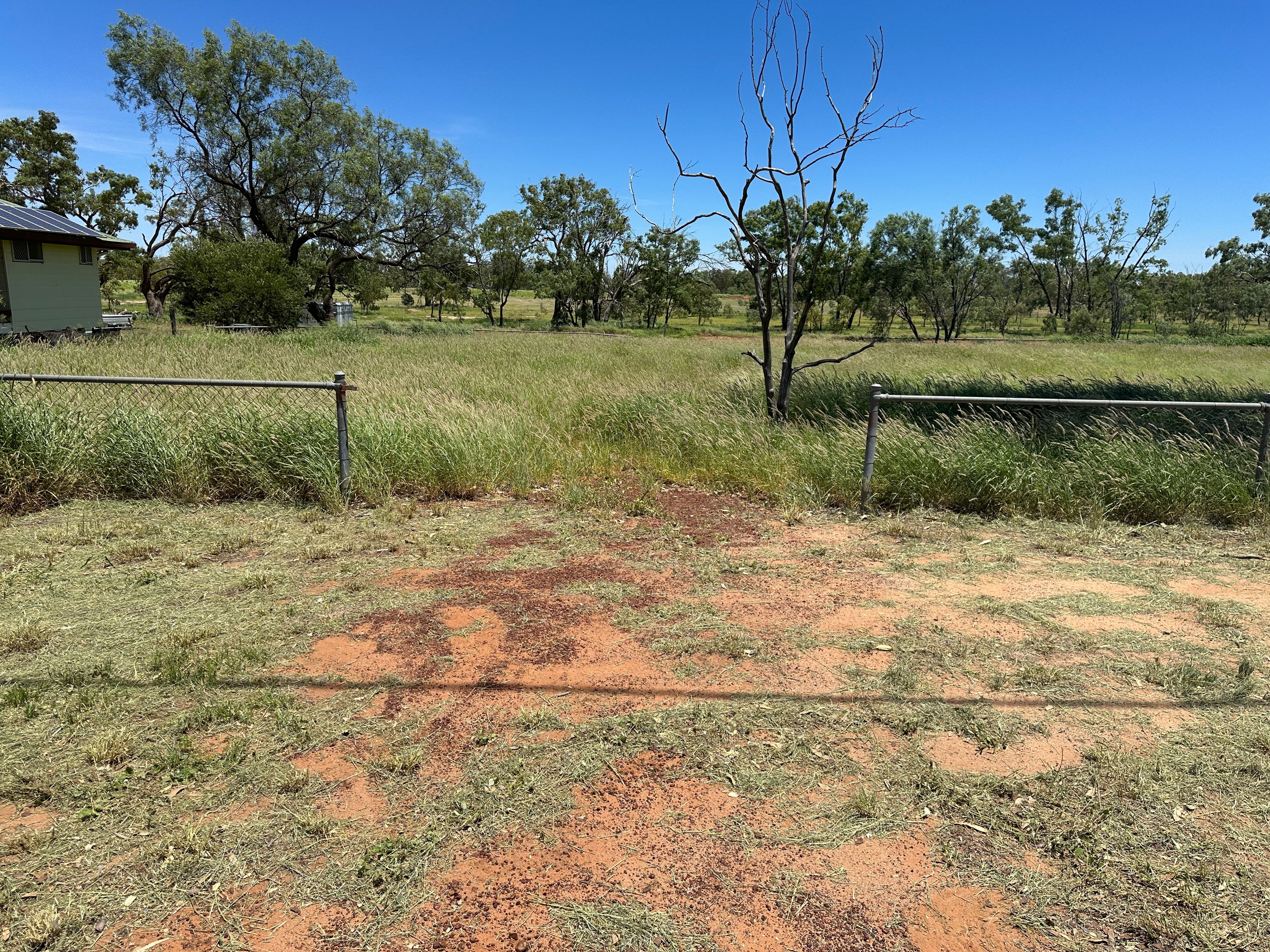 25 GALATEA ST, CHARLEVILLE QLD 4470, 0 Bedrooms, 0 Bathrooms, Section