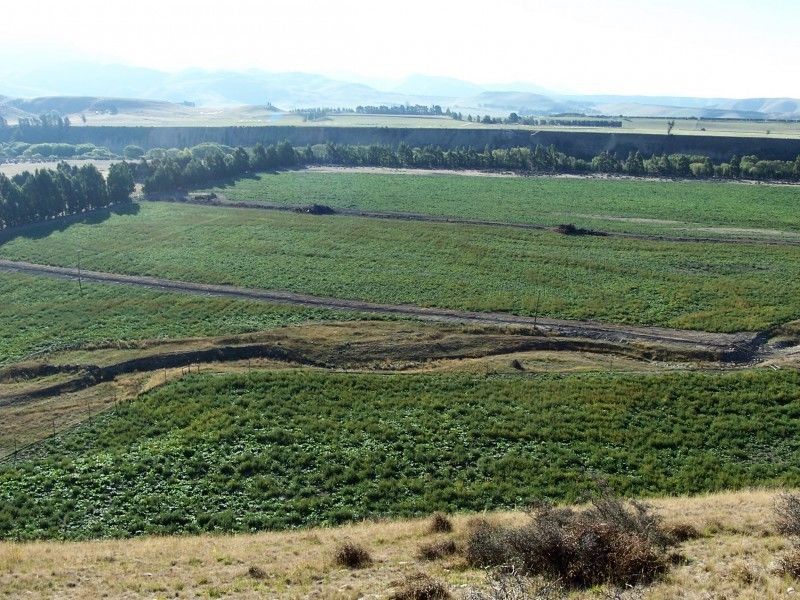 Gards Road, Duntroon, Waitaki, 0房, 1浴