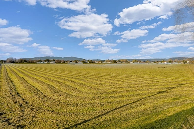 其他 - 45 Flygers Line, Milson, Palmerston North, Manawatu-Wanganui