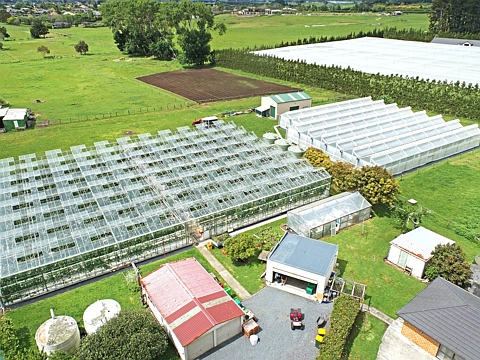 Waiuku  Huge Potential For Growth
