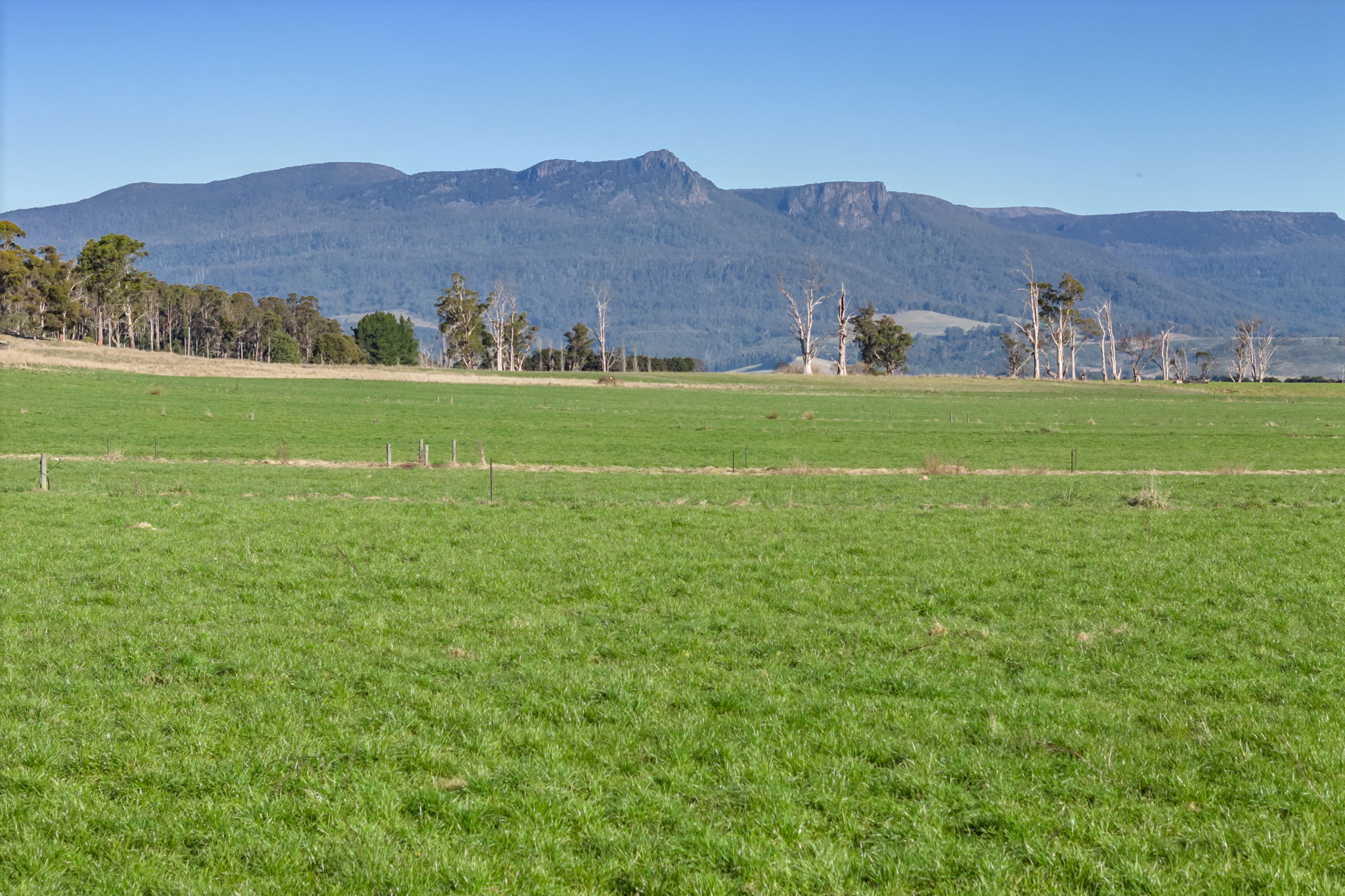 CHARLESTON FARM 548 MONTANA RD, MONTANA TAS 7304, 0 कमरे, 0 बाथरूम, Lifestyle Property