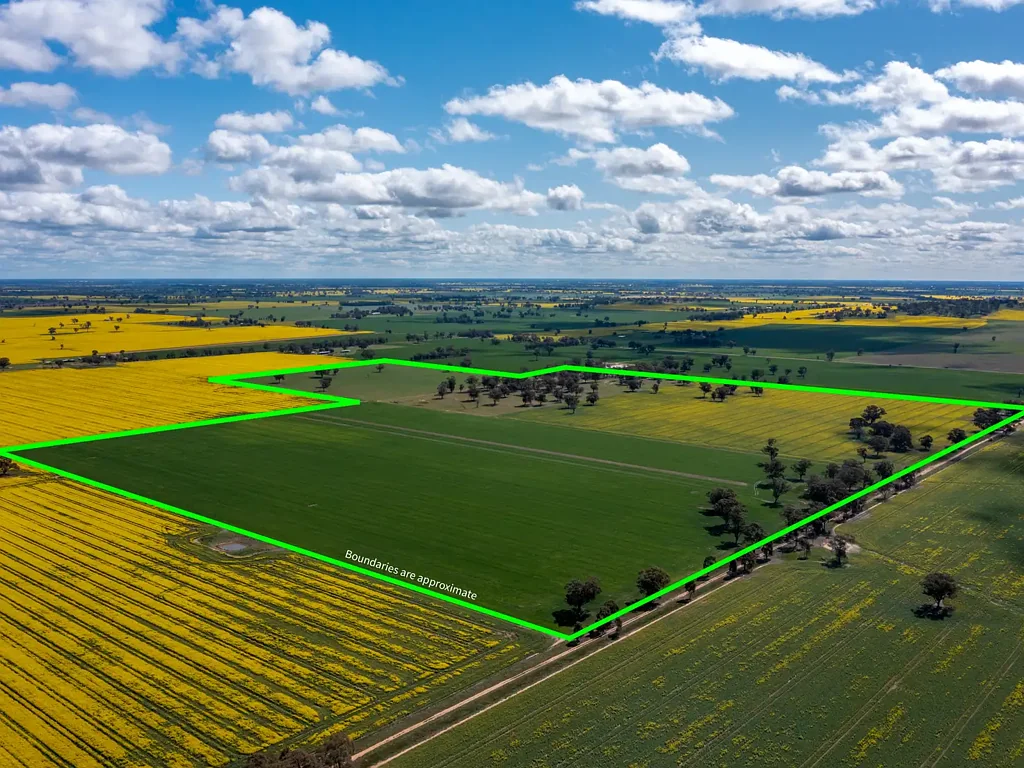 Waggarandall Quality 262 Acres of Prime Farming country in North East Cropping heartland