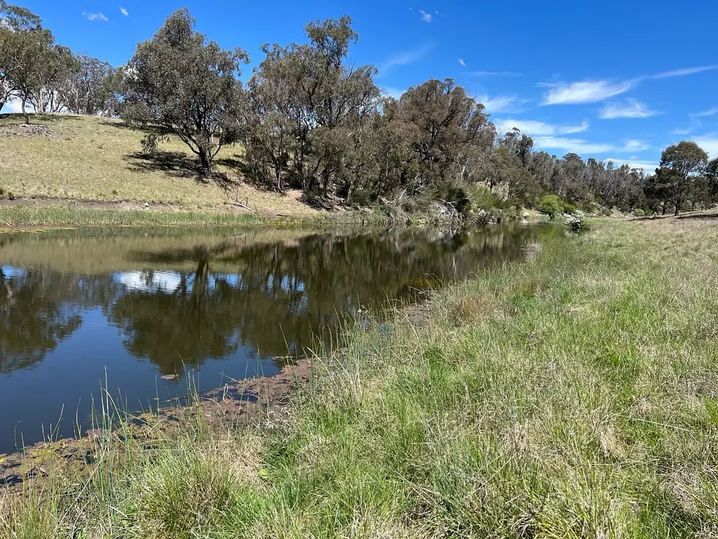 Yarrowford Grazing property