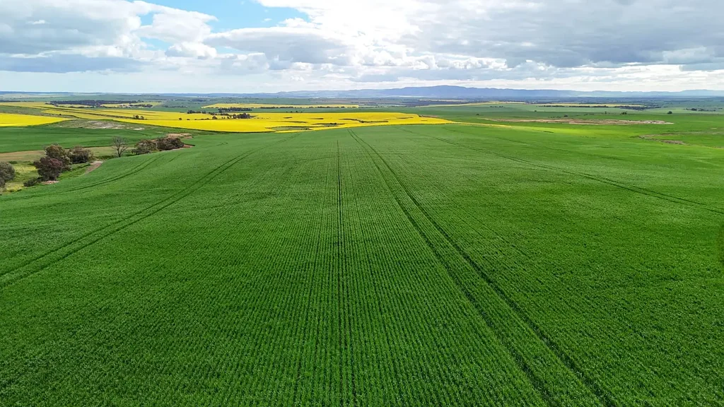 Pekina Manageable Mixed Farming Opportunity