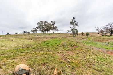81 Old Orange Road, Manildra, NSW 2865, 0 slaapkamers, 0 badkamers, Section