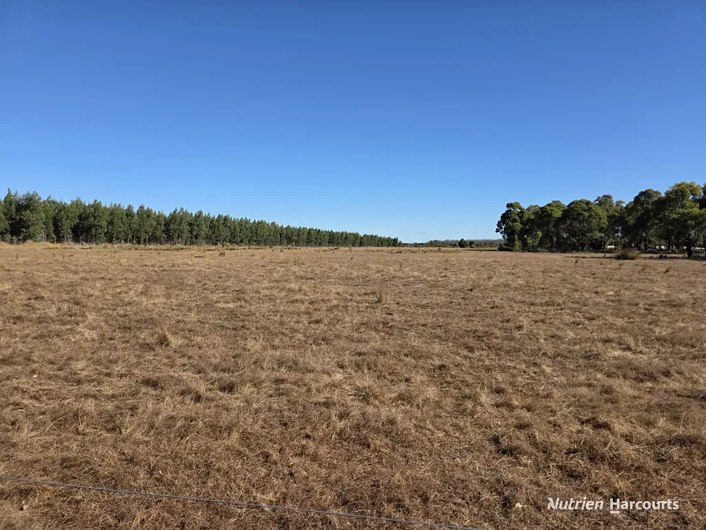Narrikup  Development Opportunity with Existing Income Stream!