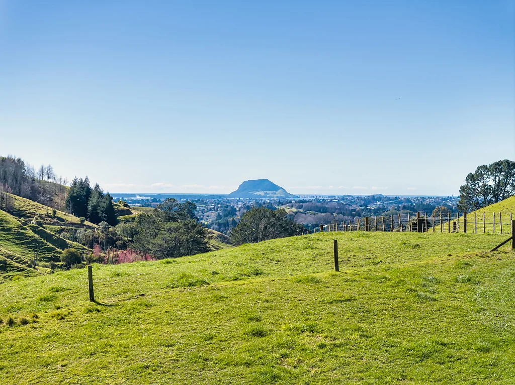 Te Puna Build your dream with stunning views