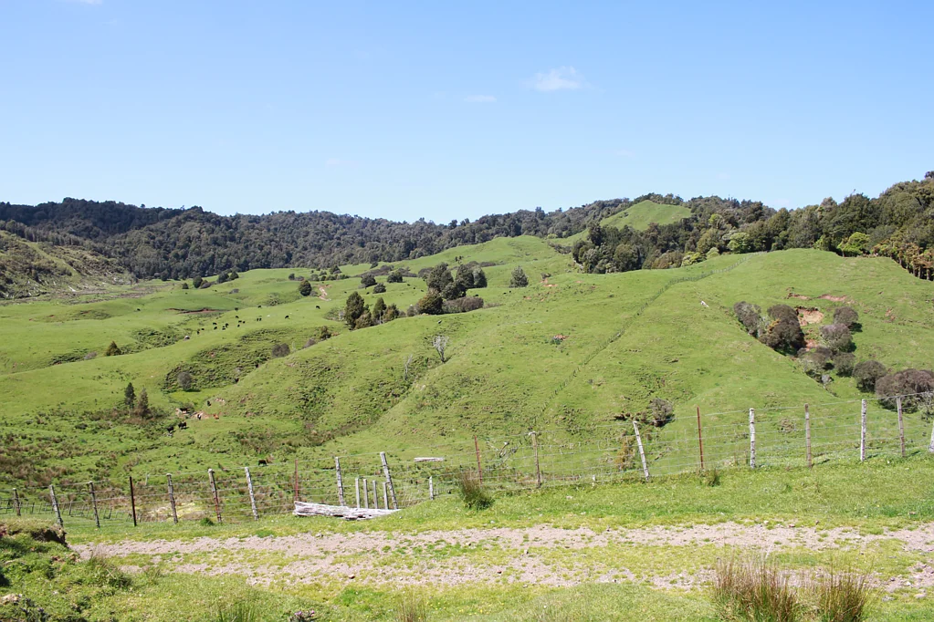 Tongaporutu Waitaanga Drystock