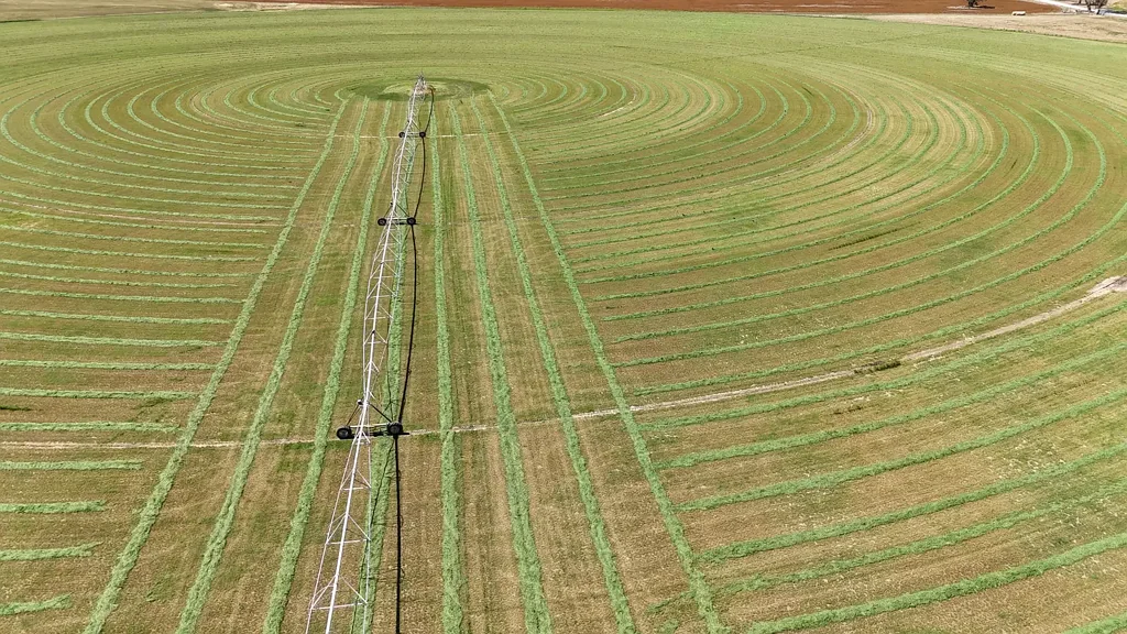 Bordertown Intensive Irrigation / Mixed Farming