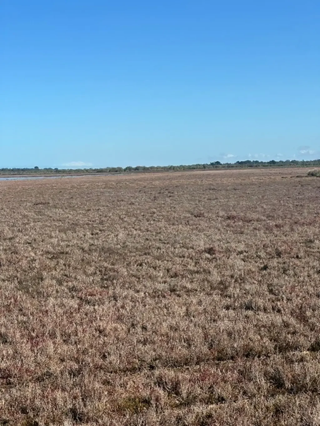 Golden Beach 80ha (app) With Huge Potential