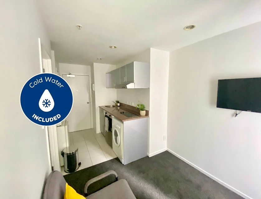1E/113 Vincent Street, Auckland Central, Auckland City, 1房, 1浴, 整租公寓