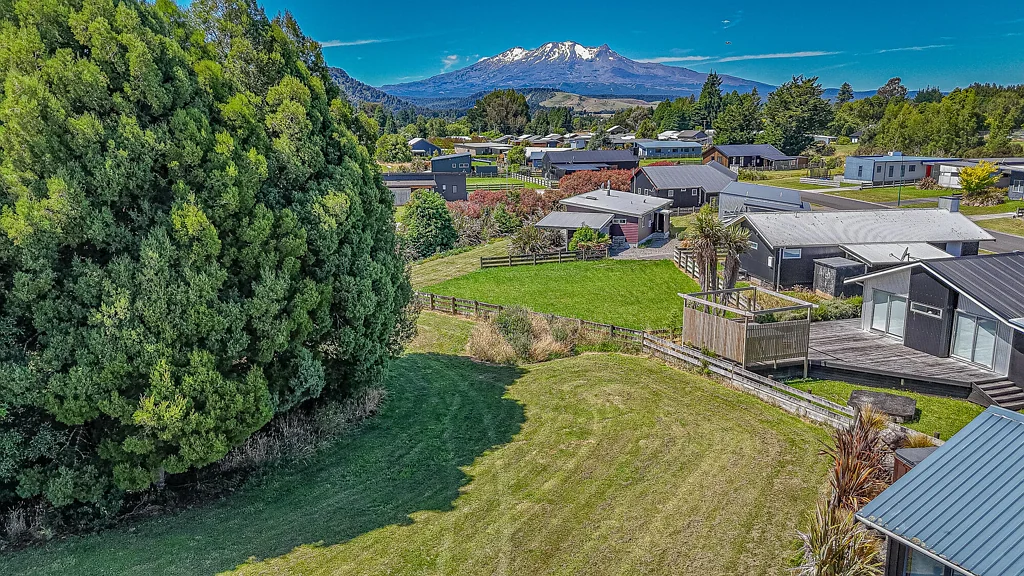 Ohakune Prime time on Cordyline