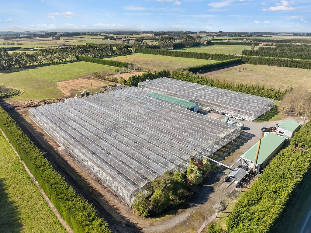 West Eyreton Prime Glasshouse Opportunity with Lifestyle