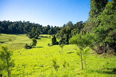 The Head YOUR  PRIVATE ESCAPE AWAITS – 19+ ACRES OF NATURAL BEAUTY IN THE SOUTHERN DOWNS