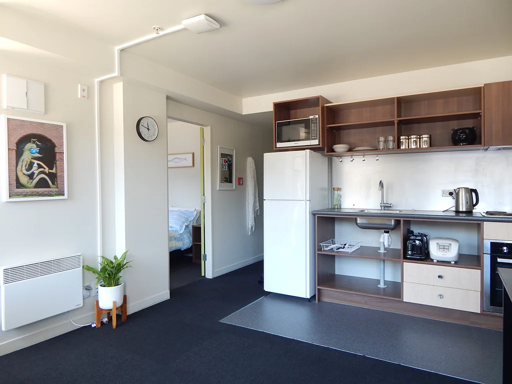 Mount Cook 1房  Investment or University Accommodation - Motivated Vendor!