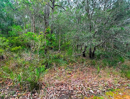 Lot 2555 Market Way, North Arm Cove, Hunter, 0 Bedrooms, 0 Bathrooms, Section