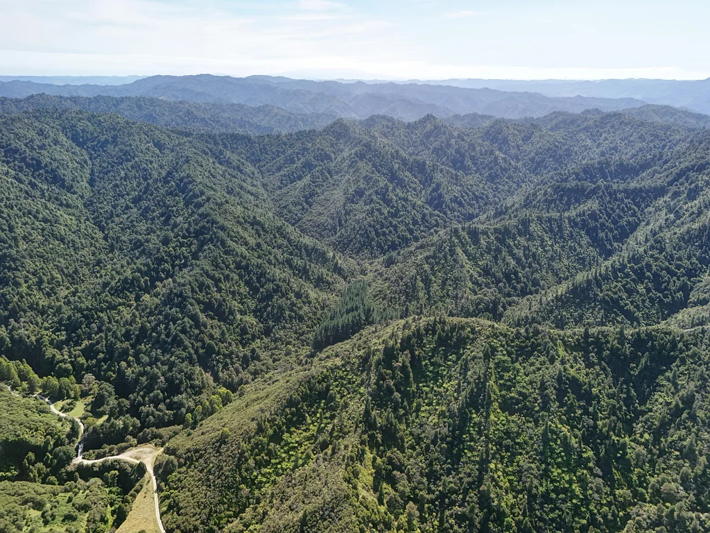 Brunswick Ultimate backcountry escape