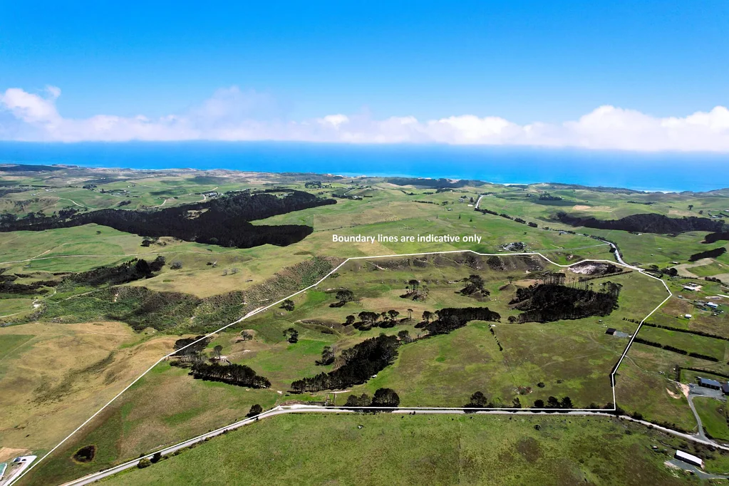 Dargaville  54ha Grazing Block  - Versatile Farming Opportunity