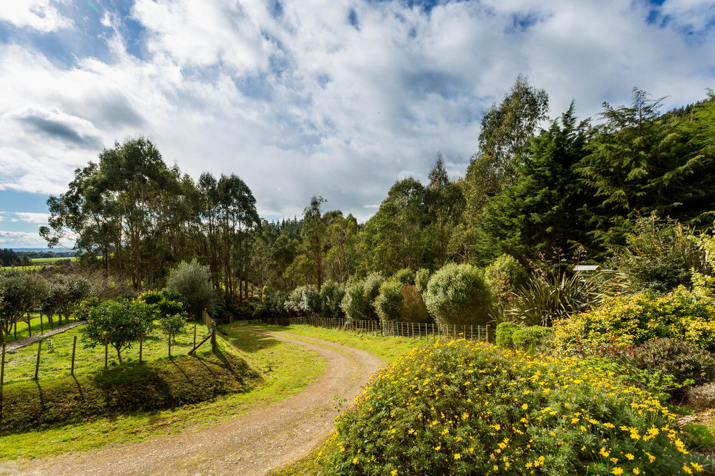 293 Pretoria Road, Shannon, Horowhenua, 3 Kuwarto, 0 Banyo