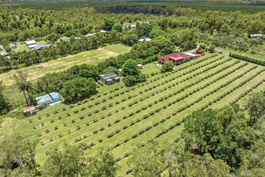 109 Fraser Road, Beerwah, QLD 4519