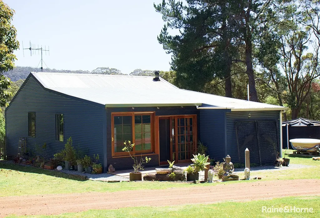 Ocean Beach Lights Magic