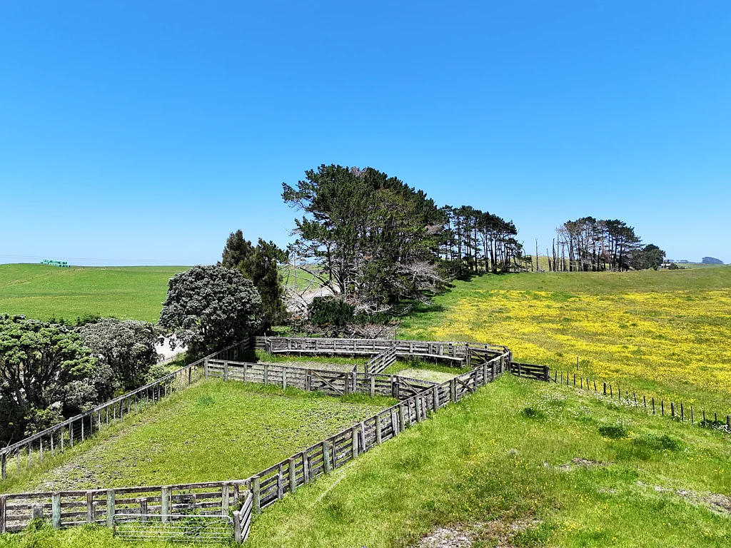 Dargaville 80.67ha Rural Opportunity - Close to Town