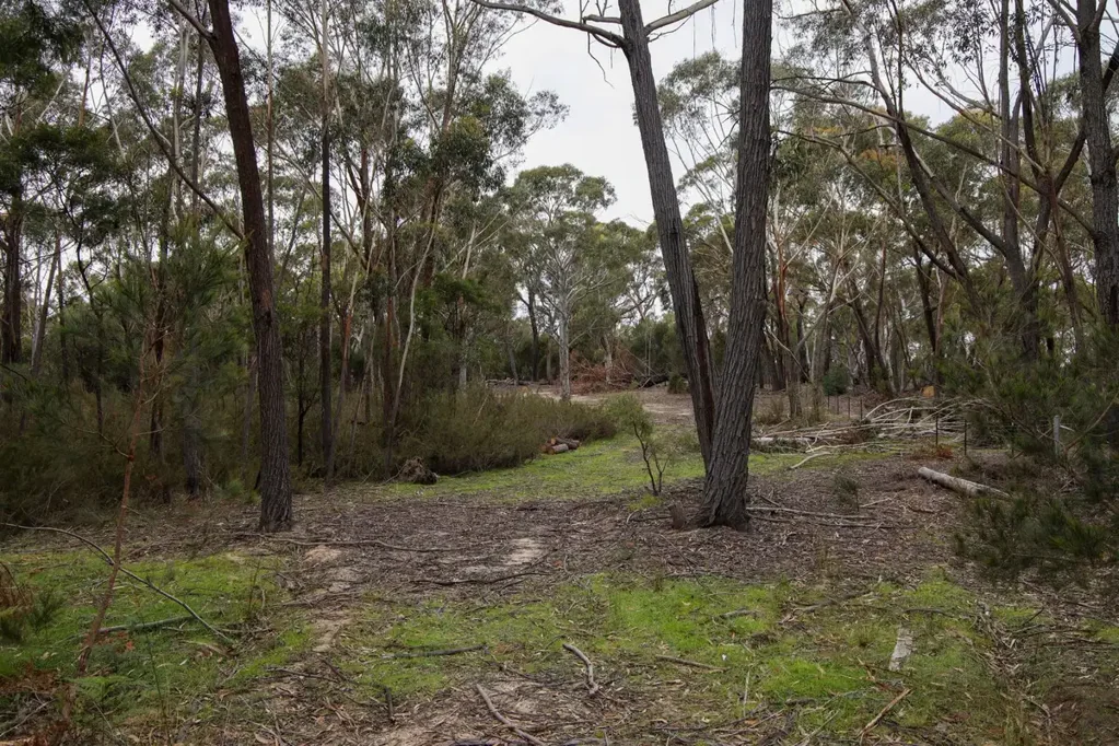 Oallen Private Playground in the Bush