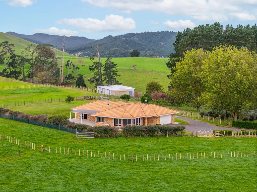 Maramarua House, horse and orchard