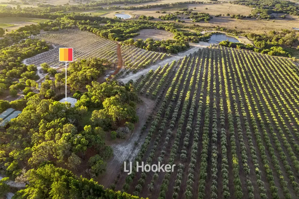 Carbunup River 4 Bedroom Once-in-a-Lifetime Olive Oil Estate in the Margaret River Golden Triangle