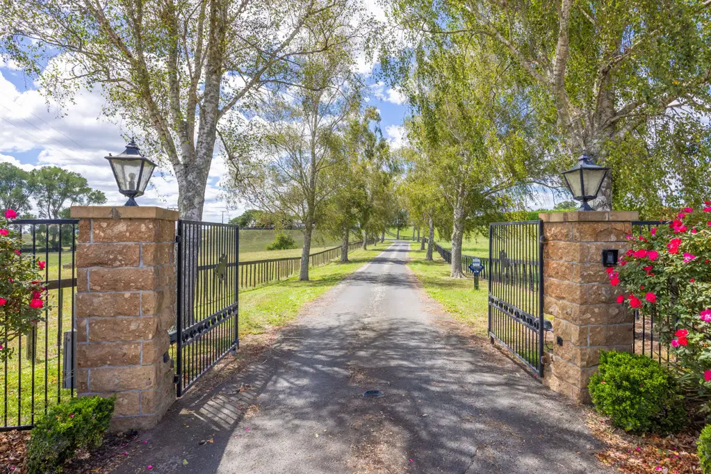 Matamata HORSES, INVESTMENT, FUTURE SUBDIVISION