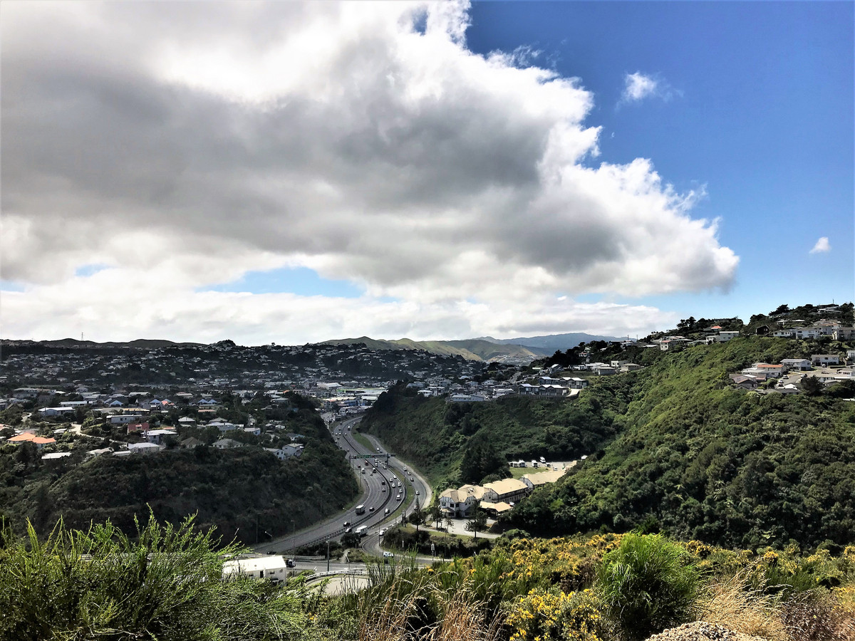 2 Grumman Lane, Newlands, Wellington, 4房, 0浴