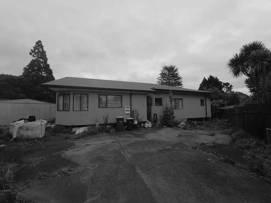 Glen Eden 3chambre Renovate or Detonate