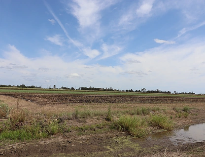 32A Agnes Street, Bundaberg North, Wide Bay, 0 ห้องนอน, 0 ห้องน้ำ, Lifestyle Property
